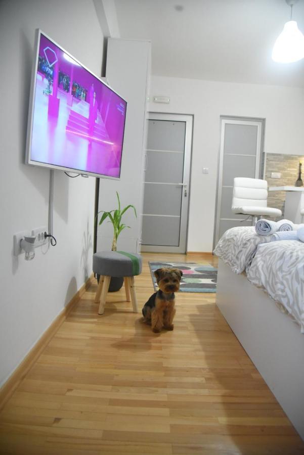 Dekart 2 Apartment Ni Extérieur photo